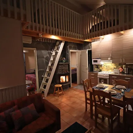 Tunturikoivu B1 By Interhome Saariselka