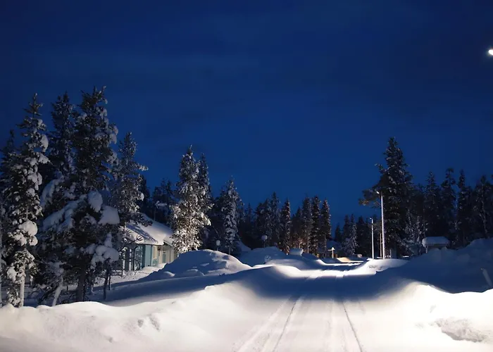 度假居 Tunturikoivu B1 By Interhome