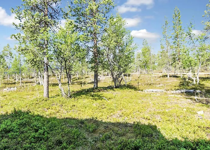 Tunturikoivu B1 By Interhome