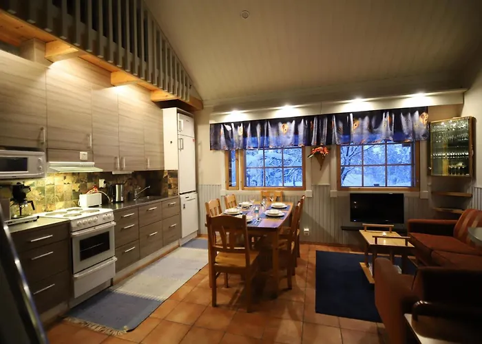 Tunturikoivu B1 By Interhome * 萨利色尔卡